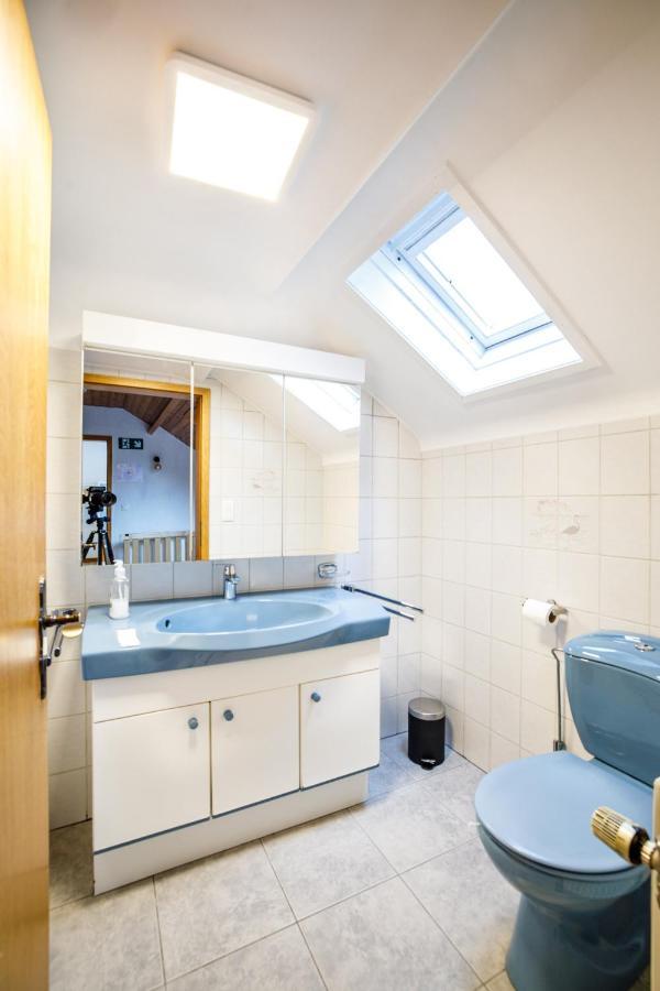 Luxueuse Et Spacieuse Villa Avec Sauna Et Piscine Malmedy Ngoại thất bức ảnh